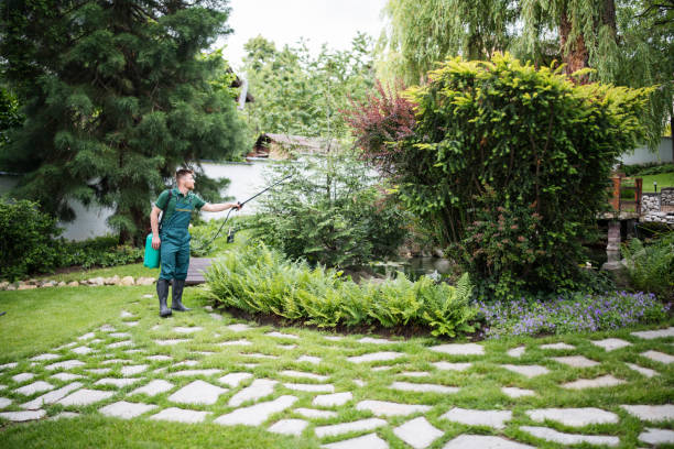 Best Pest Prevention Services  in Westlake Village, CA