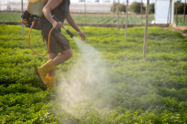 Best Affordable Pest Control Services  in Westlake Village, CA